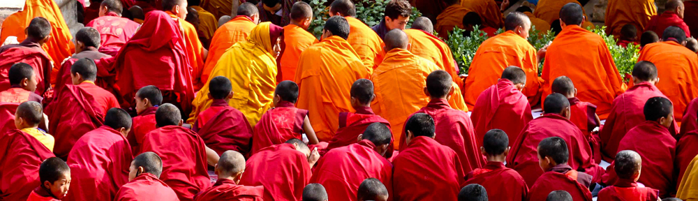 Once Dumb… Twice Crazy… Third Time Wise…