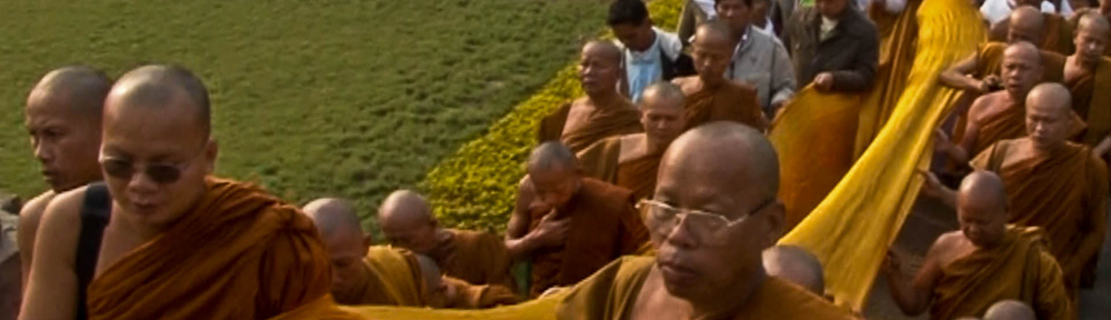 Once Dumb… Twice Crazy… Third Time Wise…